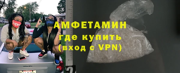 соль ск Ельня