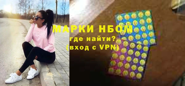 соль ск Ельня