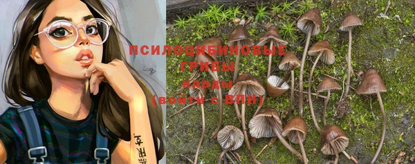 ECSTASY Елабуга
