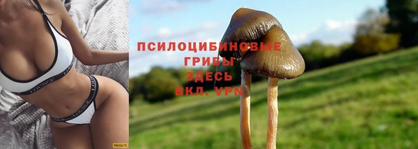 соль ск Ельня