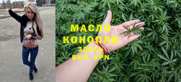 соль ск Ельня
