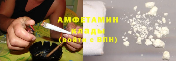 соль ск Ельня