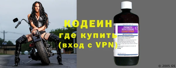 соль ск Ельня
