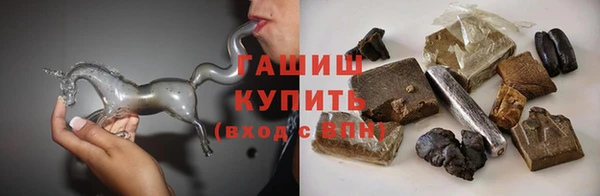 соль ск Ельня