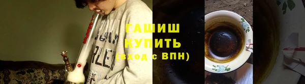 соль ск Ельня