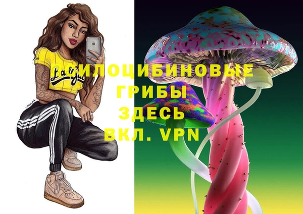 скорость mdpv Елизово