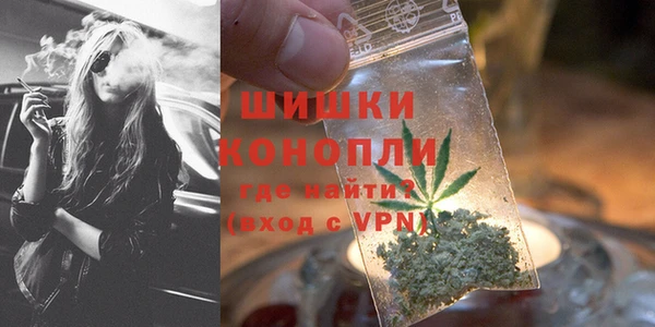 соль ск Ельня
